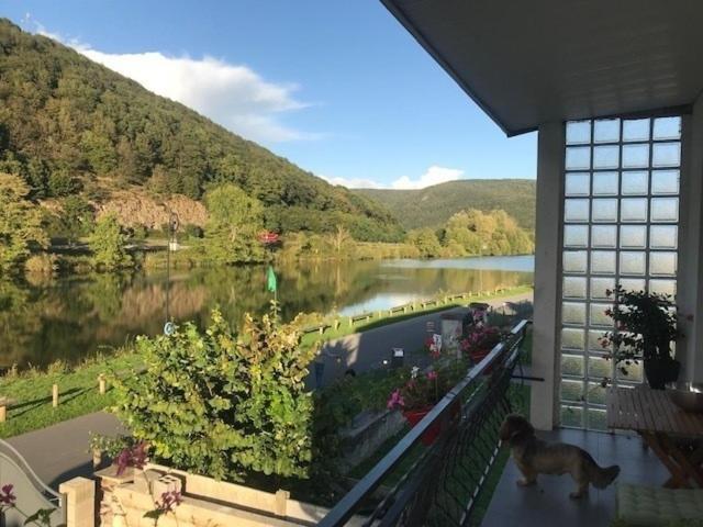 La Rose Sur Meuse Villa Haybes ภายนอก รูปภาพ